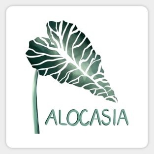 Alocasia Amazonica Sticker